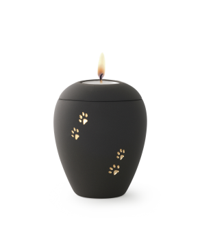 Siena Anthrazit mit 4 goldenen Pfötchen & Gedenklicht (0,5 ltr.)