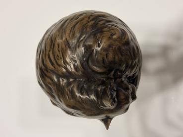 Preview: Katze schlafend Langhaar (280ml)