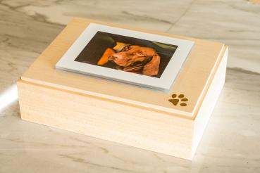 Preview: Ciao-MIA Medium (1 ltr.)