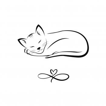 Preview: Niro-9 (0,3 ltr.)