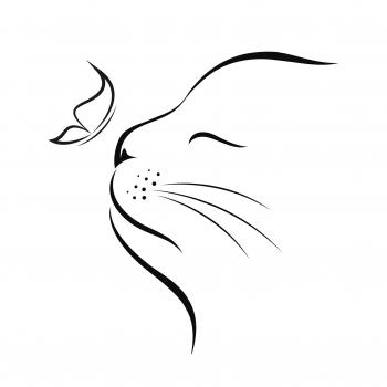 Preview: Niro-9 (0,3 ltr.)