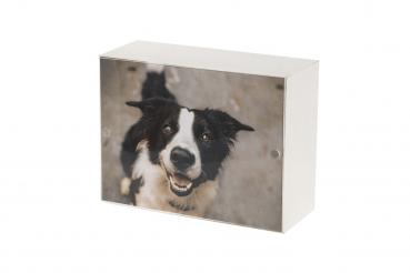 Ciao-VICINO Medium (1,5 ltr.)