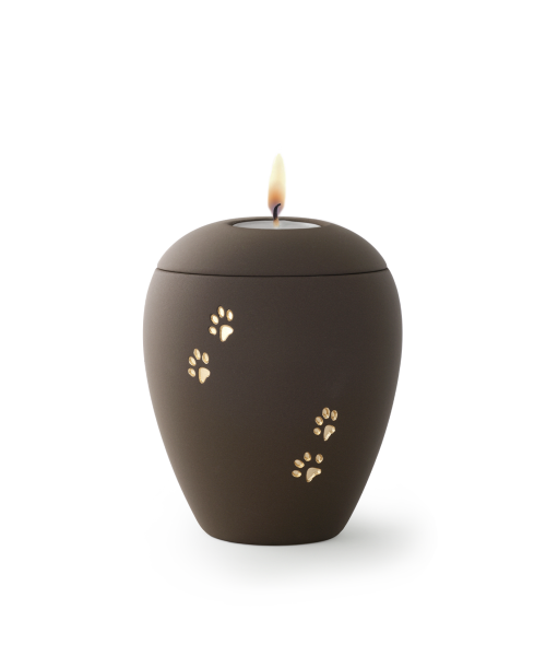 Siena Café mit 4 goldenen Relief-Pfötchen und Gedenklichteinsatz (1,5 ltr.)