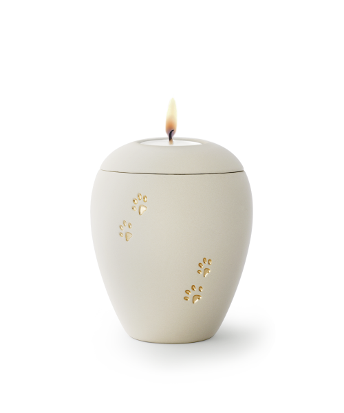 Siena creme mit 4 goldenen Relief-Pfötchen & Gedenklicht (1,5 ltr.)