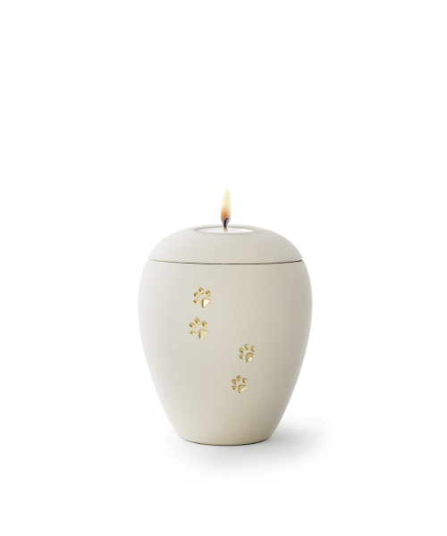 Siena Creme mit 4 goldenen Relief-Pfötchen & Gedenklichteinsatz (0,5 ltr)