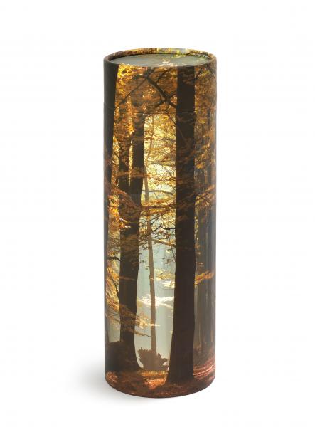 Kartonurne Herbststimmung 0,69l