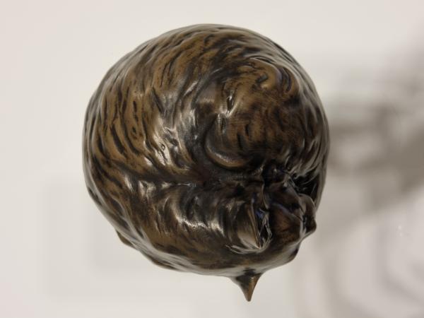 Katze schlafend Langhaar (280ml)