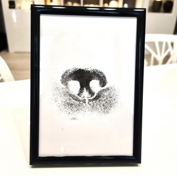 2D Tinten-Nasenabdruck im Rahmen