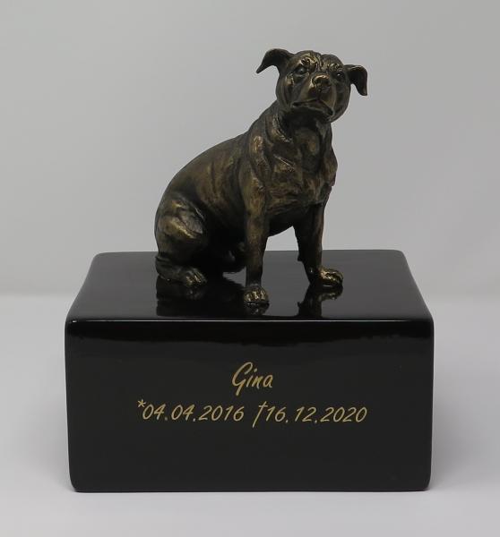 Design Würfelurne mit Staffordshire Bullterrier (2,3 Liter)